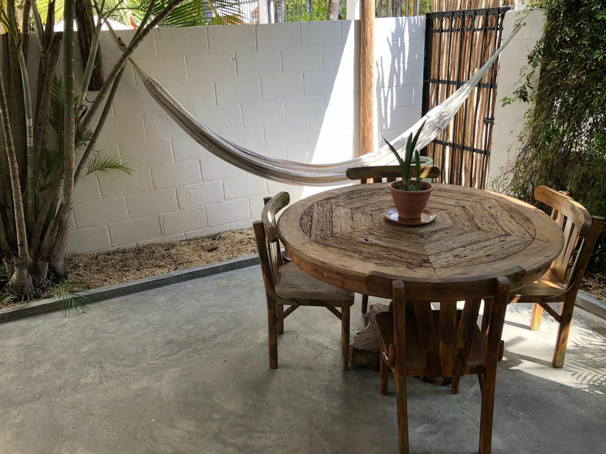 بلايا ديل كارمن Casa La Palma B&B المظهر الخارجي الصورة